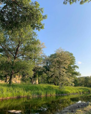 Doğa ve şehir manzarası 