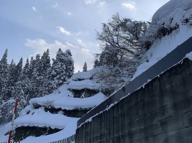 Doğa ve şehir manzarası 