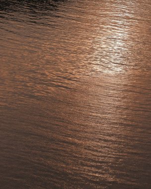 Doğa ve şehir manzarası 