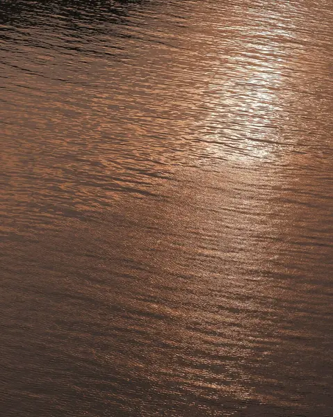 Doğa ve şehir manzarası 