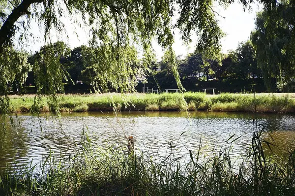 Doğa ve şehir manzarası 