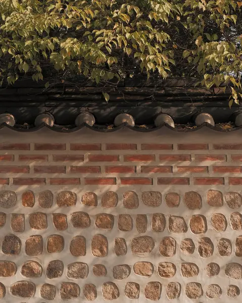 Doğa ve şehir manzarası 