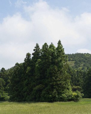 Doğa ve şehir manzarası 