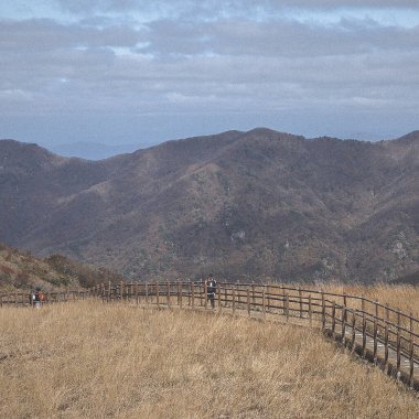 Doğa ve şehir manzarası 