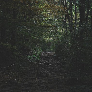 Doğa ve şehir manzarası 