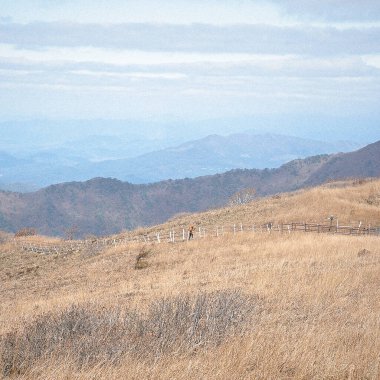 Doğa ve şehir manzarası 