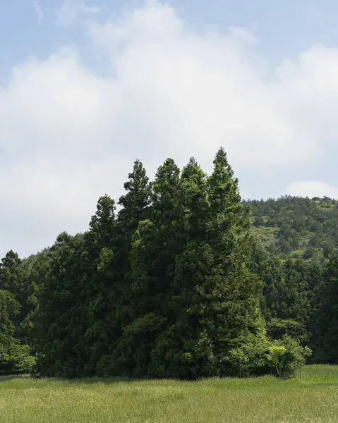 Doğa ve şehir manzarası 