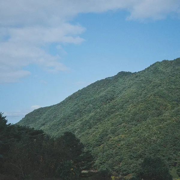 Doğa ve şehir manzarası 