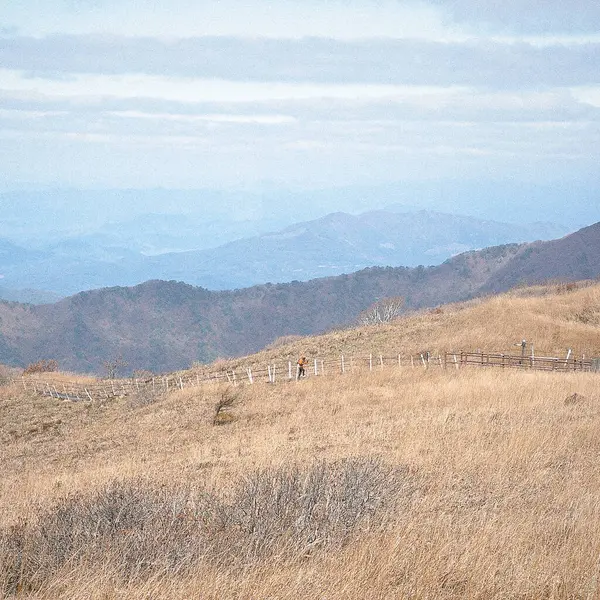 Doğa ve şehir manzarası 