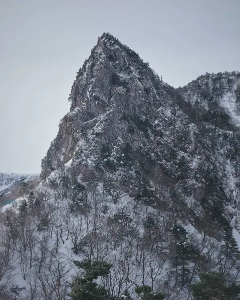 Doğa ve şehir manzarası 