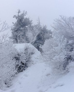 Doğa ve şehir manzarası 