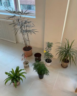 Doğa ve şehir manzarası 