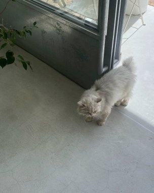 Doğa ve şehir manzarası 