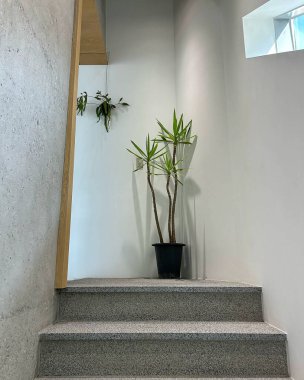 Doğa ve şehir manzarası 