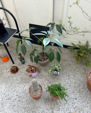 Doğa ve şehir manzarası 