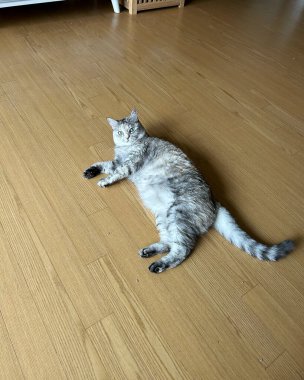 Doğa ve şehir manzarası 