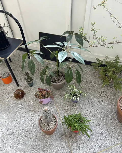 Doğa ve şehir manzarası 