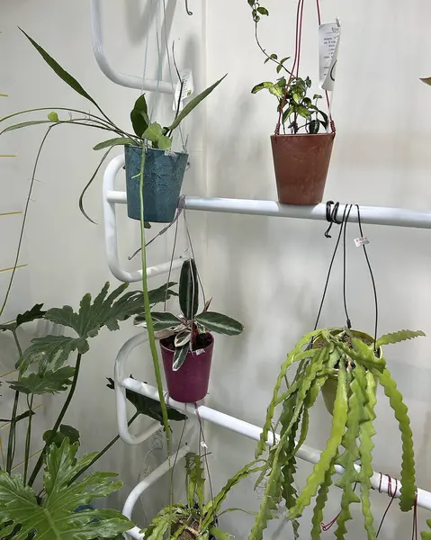 Doğa ve şehir manzarası 