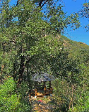 Doğa ve şehir manzarası 