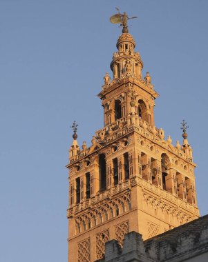 Doğa ve şehir manzarası 