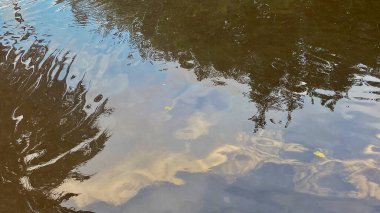 Doğa ve şehir manzarası 