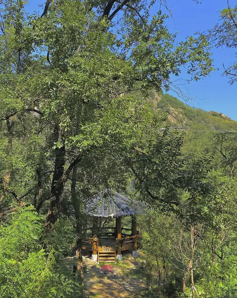 Doğa ve şehir manzarası 