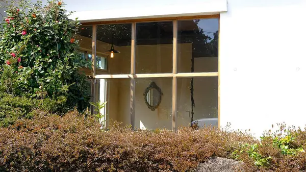 Doğa ve şehir manzarası 