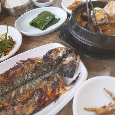 Doğa ve şehir manzarası 