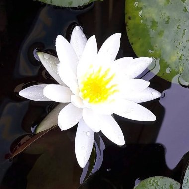 Doğa ve şehir manzarası 