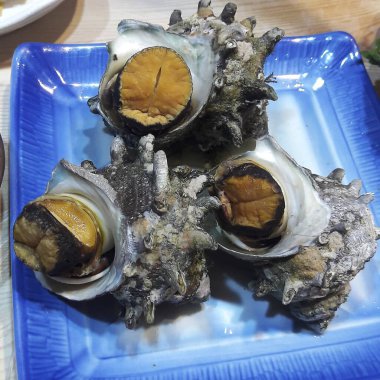 Doğa ve şehir manzarası 