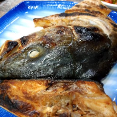 Doğa ve şehir manzarası 