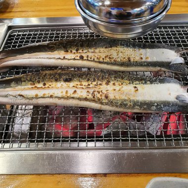 Doğa ve şehir manzarası 