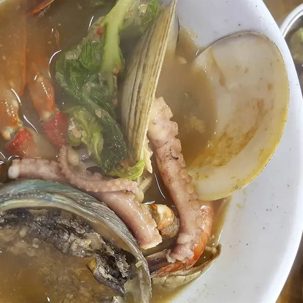 Doğa ve şehir manzarası 