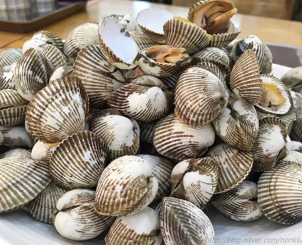 Doğa ve şehir manzarası 