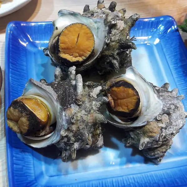 Doğa ve şehir manzarası 