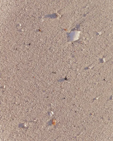 Doğa ve şehir manzarası 