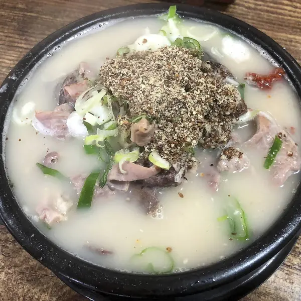 Doğa ve şehir manzarası 