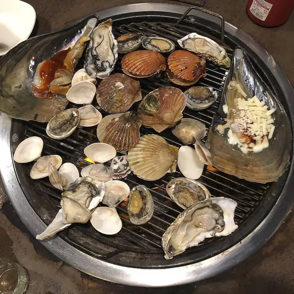 Doğa ve şehir manzarası 