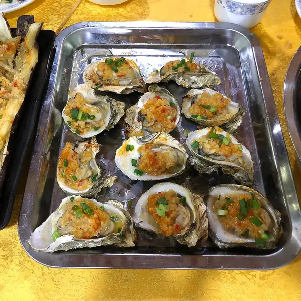 Doğa ve şehir manzarası 