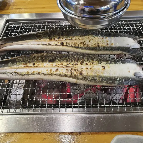 Doğa ve şehir manzarası 