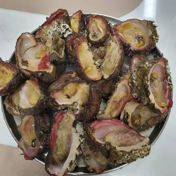 Doğa ve şehir manzarası 