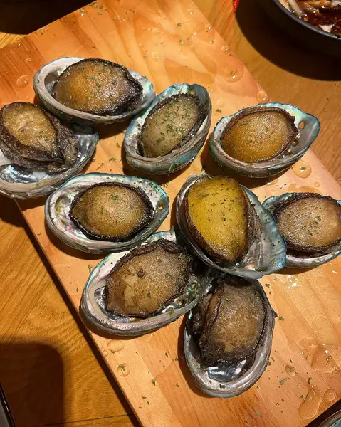 Doğa ve şehir manzarası 