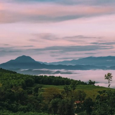 Doğa ve şehir manzarası 