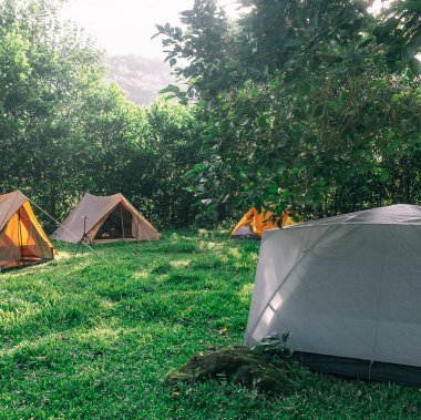 Doğa ve şehir manzarası 