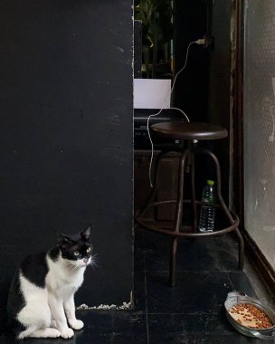 Doğa ve şehir manzarası 