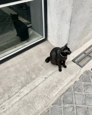 Doğa ve şehir manzarası 