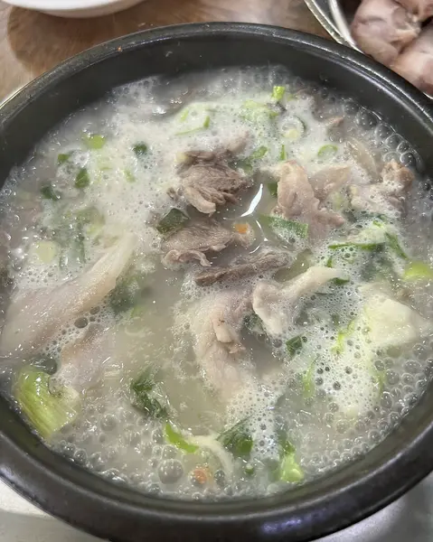 Doğa ve şehir manzarası 