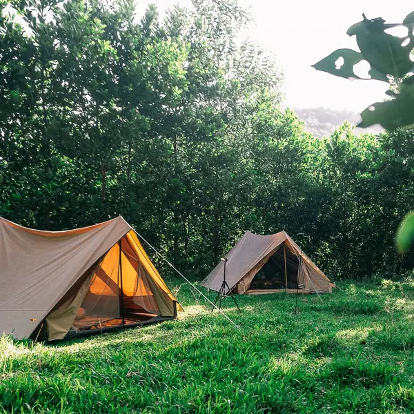 Doğa ve şehir manzarası 