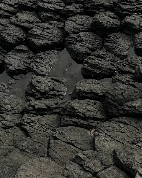 Doğa ve şehir manzarası 