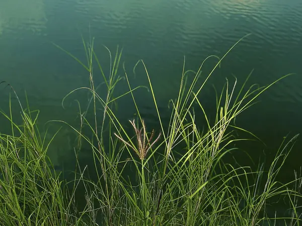 Doğa ve şehir manzarası 